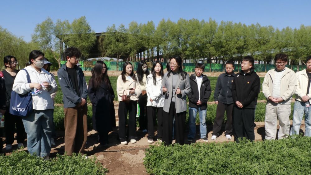 科技小院扎根寧夏大地，鄉(xiāng)村振興注入青春力量